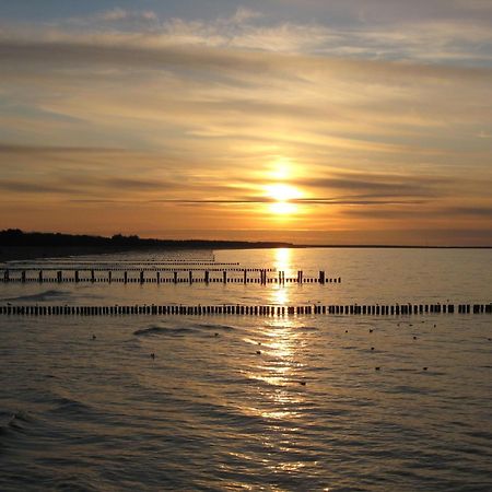 Wohnung 9 Meer-Ruhe Im Haus Stranddistel Komfortable Ferienwohnung Im 1 Og Fuer 4 Personen In Zingst Exteriér fotografie