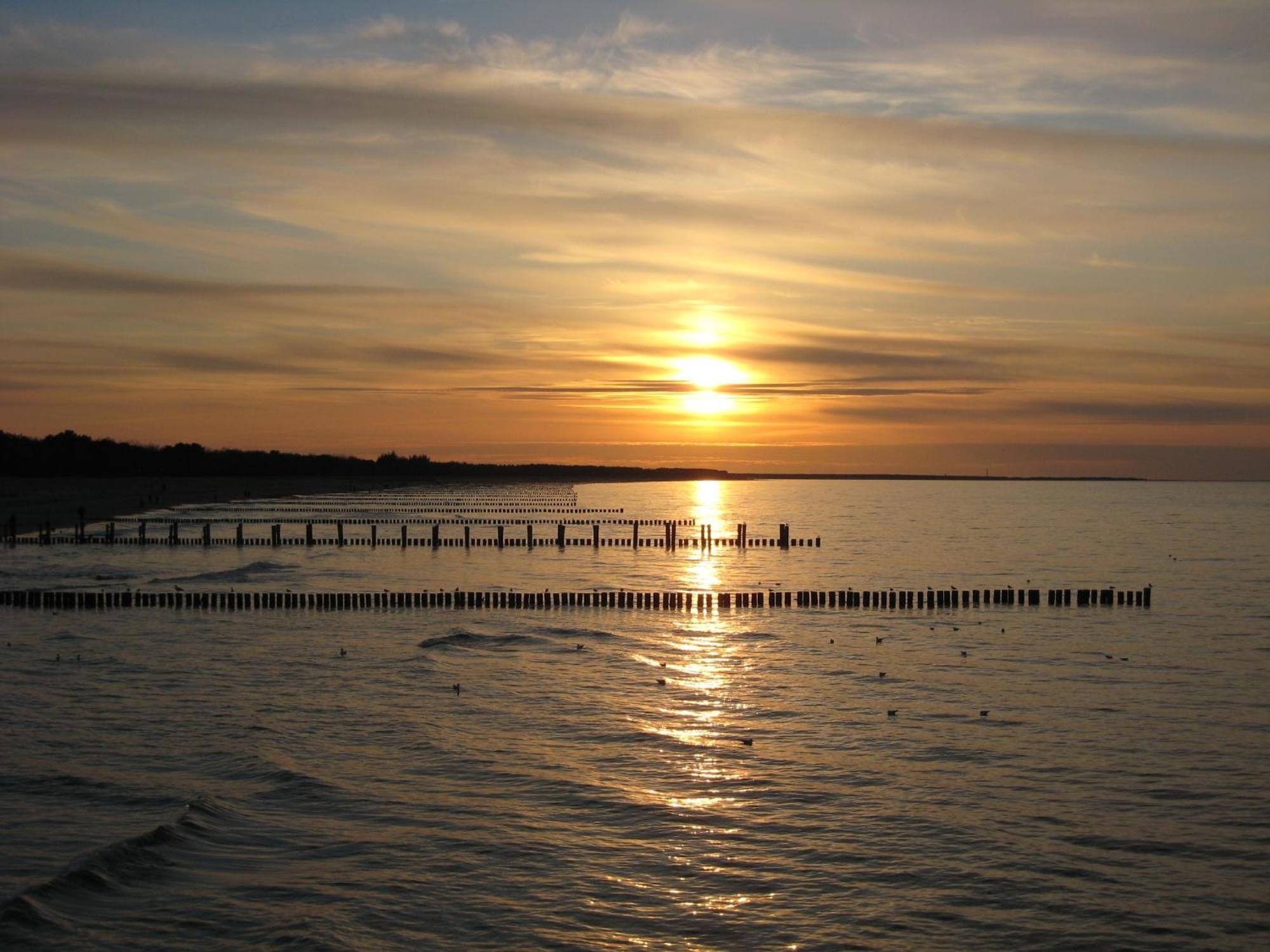 Wohnung 9 Meer-Ruhe Im Haus Stranddistel Komfortable Ferienwohnung Im 1 Og Fuer 4 Personen In Zingst Exteriér fotografie